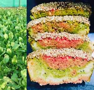 soulgreens